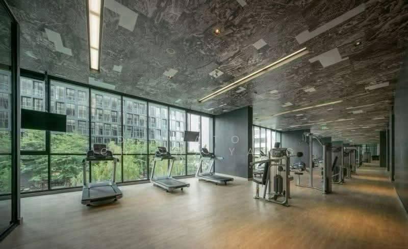 Noble Ploenchit, Bangkok, 1035 Ploenchit Road, Lumphini, Pathum Wan, Bangkok, 1 Bedroom, 48 sqm, Condo For Rent, by Dechatorn Chichaiyang, 500552189 - DDproperty.com