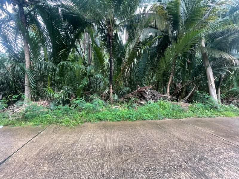 ที่ดินบ้านปรก สมุทรสงคราม, Samut Songkhram, Ban Prok, Muang Samut Songkhram, Samut Songkhram, , 6,600 sqm, Land For Sale, by The Best Property เมย์, 500552344 - DDproperty.com