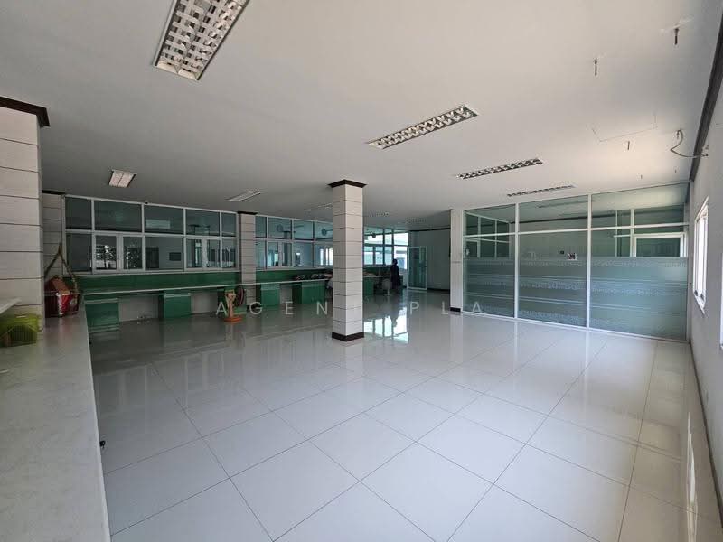 Land with buildings for rent: 2-story office building + warehouse, located on Thepharak Road (SPSAD4, Samut Prakan, Phreak Sa Mai, Muang Samut Prakarn, Samut Prakan, , 2,000 sqm, Office Space For Rent, by Agent Pla, 500552366 - DDproperty.com