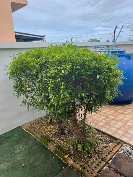 12S0200 This house for sale 4,500,000 baht 3 bedroom 3 bathroom at thalang have fully furnished, ภูเก็ต, เทพกระษัตรี, ถลาง, ภูเก็ต, 130 ตร.ม., บ้านแฝด ขาย, โดย PK LIFE Property, 500552393 - DDproperty.com