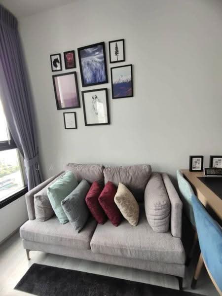XT Ekkamai, Bangkok, 259 Soi Sukhumvit 63, Khlong Tan Nua, Watthana, Bangkok, 1 Bedroom, 31 sqm, Condo For Rent, by Jettapat Jaroonpipatkun, 500552405 - DDproperty.com