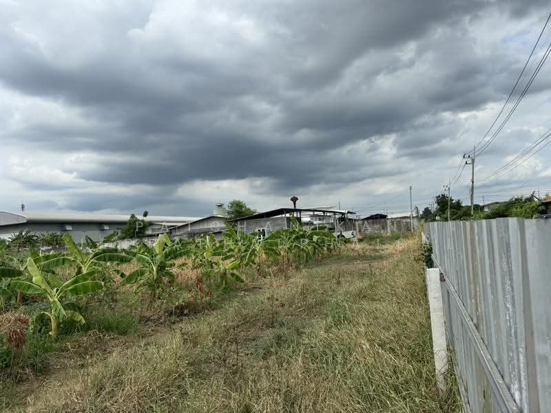 Khlong Luang Soi Bongkoch 30, Pathum Thani, คลอง2, Khlong Song, Khlong Luang, Pathum Thani, , 5,856 sqm, Land For Sale, by พัชณิกานต์ จีราพัชไพศาล, 500552425 - DDproperty.com
