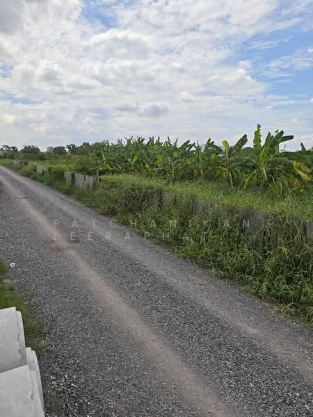 Khlong Luang Soi Bongkoch 30, Pathum Thani, คลอง2, Khlong Song, Khlong Luang, Pathum Thani, , 5,856 sqm, Land For Sale, by พัชณิกานต์ จีราพัชไพศาล, 500552425 - DDproperty.com