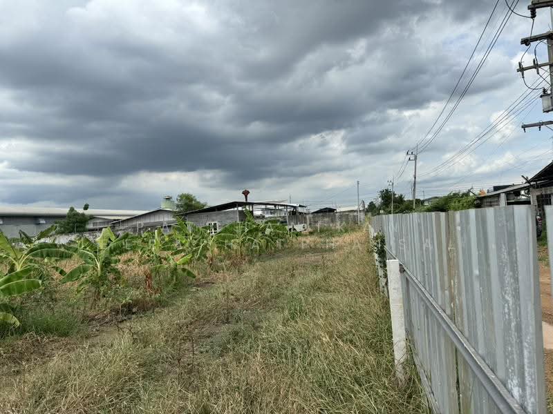 Khlong Luang Soi Bongkoch 30, Pathum Thani, คลอง2, Khlong Song, Khlong Luang, Pathum Thani, , 5,856 sqm, Land For Sale, by พัชณิกานต์ จีราพัชไพศาล, 500552425 - DDproperty.com