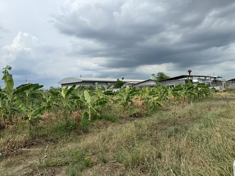 Khlong Luang Soi Bongkoch 30, Pathum Thani, คลอง2, Khlong Song, Khlong Luang, Pathum Thani, , 5,856 sqm, Land For Sale, by พัชณิกานต์ จีราพัชไพศาล, 500552425 - DDproperty.com