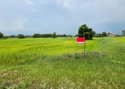 ขาย - ที่ดินศรีสมเด็จ ร้อยเอ็ด, ร้อยเอ็ด