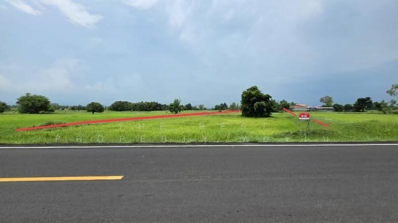 ที่ดินศรีสมเด็จ ร้อยเอ็ด, Roi Et, Suan Chik, Sri Somdet, Roi Et, , 8,372 sqm, Land For Sale, by The Best Property ทองใบ, 500552510 - DDproperty.com