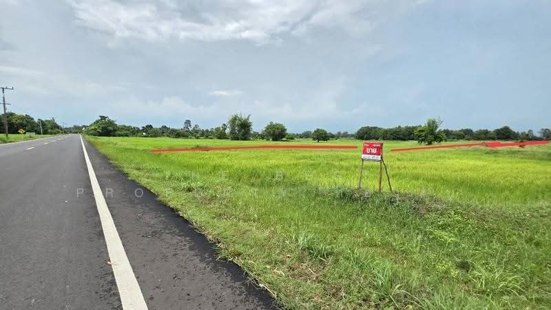 ที่ดินศรีสมเด็จ ร้อยเอ็ด, Roi Et, Suan Chik, Sri Somdet, Roi Et, , 8,372 sqm, Land For Sale, by The Best Property ทองใบ, 500552510 - DDproperty.com