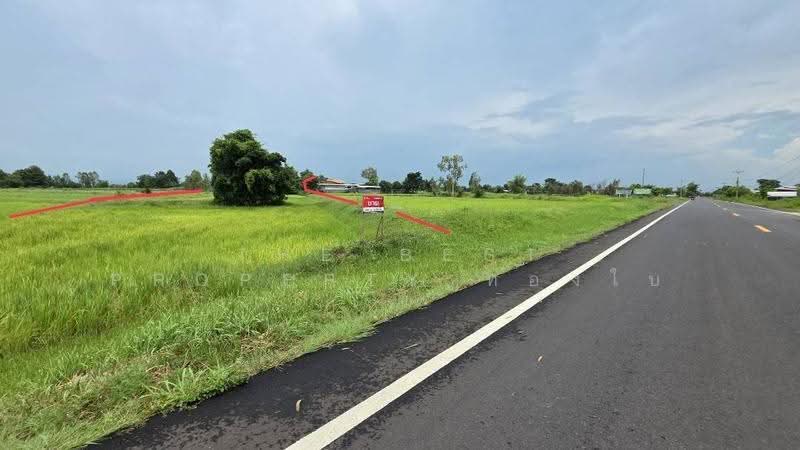 ที่ดินศรีสมเด็จ ร้อยเอ็ด, Roi Et, Suan Chik, Sri Somdet, Roi Et, , 8,372 sqm, Land For Sale, by The Best Property ทองใบ, 500552510 - DDproperty.com