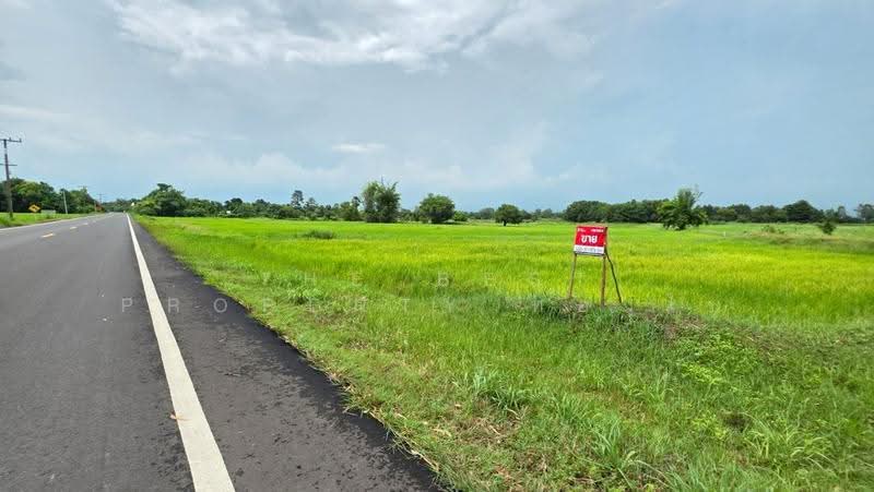 ที่ดินศรีสมเด็จ ร้อยเอ็ด, Roi Et, Suan Chik, Sri Somdet, Roi Et, , 8,372 sqm, Land For Sale, by The Best Property ทองใบ, 500552510 - DDproperty.com