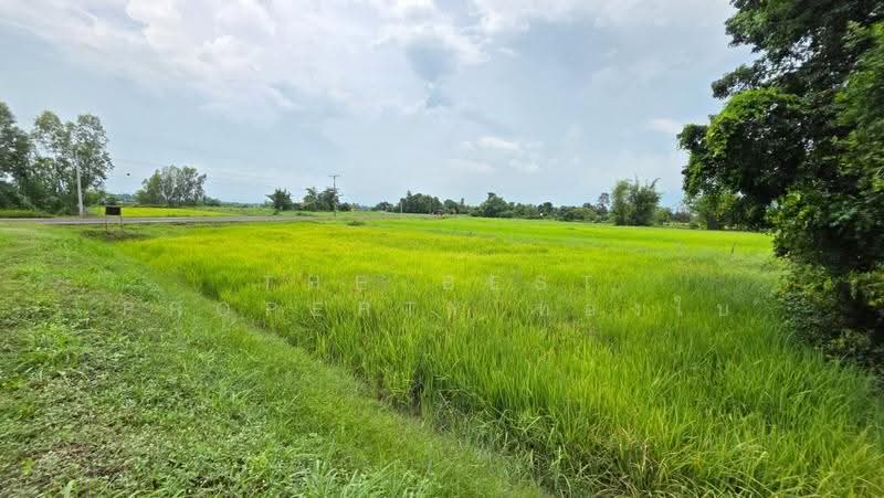 ที่ดินศรีสมเด็จ ร้อยเอ็ด, Roi Et, Suan Chik, Sri Somdet, Roi Et, , 8,372 sqm, Land For Sale, by The Best Property ทองใบ, 500552510 - DDproperty.com