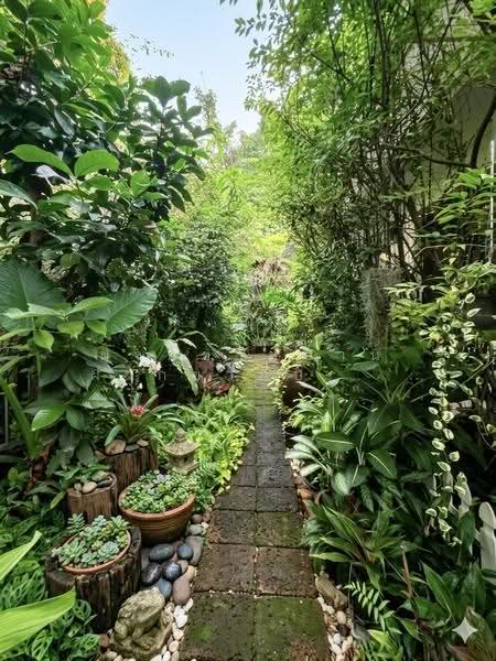 Ladawan Kaset-Nawamintr, Bangkok, Ladplakhao Road, Anusaowari, Bang Khen, Bangkok, 4 Bedrooms, 360 sqm, Single Detached House For Sale, by ฝากขายบ้าน ฝากขายบ้านมือสอง ฝากขายอสัง Realty HuB, 500552586 - DDproperty.com