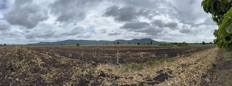 ที่ดินวังไทร ปากช่อง, Nakhon Ratchasima, Wang Zai, Pak Chong, Nakhon Ratchasima, , 4,800 sqm, Land For Sale, by ภัสสร์ปภา นิลคช, 500552651 - DDproperty.com