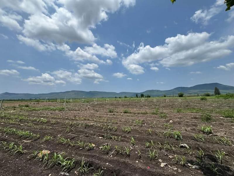 ที่ดินวังไทร ปากช่อง, Nakhon Ratchasima, Wang Zai, Pak Chong, Nakhon Ratchasima, , 4,800 sqm, Land For Sale, by ภัสสร์ปภา นิลคช, 500552651 - DDproperty.com