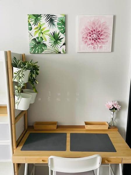 Culture Thonglor, Bangkok, Soi Sukhumvit 59, Sukhumvit Road, Khlong Tan Nua, Watthana, Bangkok, Studio, 26 sqm, Condo For Rent, by ไพลิน เลิศวัฒนมงคล, 500552661 - DDproperty.com