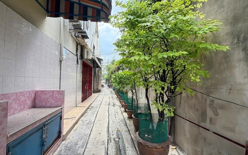 อาคารพาณิชย์ พระนคร ย่านศาลเจ้าพ่อเสือ, กรุงเทพ, ศาลเจ้าพ่อเสือ, พระนคร, กรุงเทพ, 128 ตร.ม., ตึกแถว-อาคารพาณิชย์ ขาย, โดย อัญธิญาน์ อัศวะถาวรกิตติ์, 500552695 - DDproperty.com