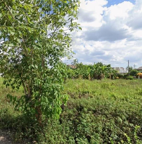 ที่ดินบ้านดู่ เชียงราย, Chiang Rai, Ban Du, Muang Chiang Rai, Chiang Rai, , 400 sqm, Land For Sale, by The Best Property บ๊วย, 500552780 - DDproperty.com