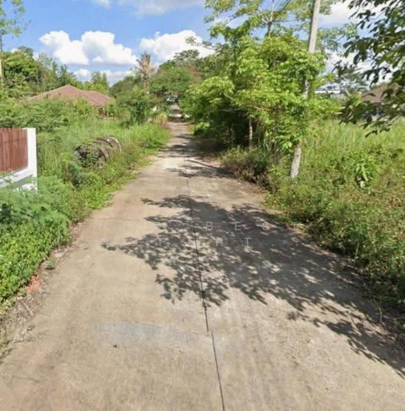 ที่ดินบ้านดู่ เชียงราย, Chiang Rai, Ban Du, Muang Chiang Rai, Chiang Rai, , 400 sqm, Land For Sale, by The Best Property บ๊วย, 500552780 - DDproperty.com