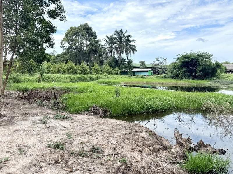 ที่ดินท่าใหม่ จันทบุรี, จันทบุรี, คลองขุด, ท่าใหม่, จันทบุรี, 5,220 ตร.ม., ที่ดิน ขาย, โดย The Best Property เมญ่า, 500552786 - DDproperty.com