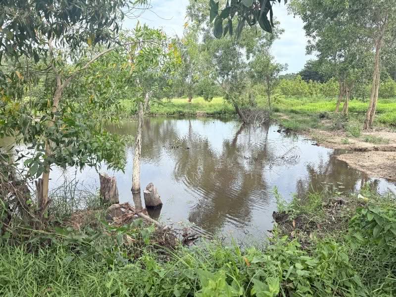 ที่ดินท่าใหม่ จันทบุรี, จันทบุรี, คลองขุด, ท่าใหม่, จันทบุรี, 5,220 ตร.ม., ที่ดิน ขาย, โดย The Best Property เมญ่า, 500552786 - DDproperty.com