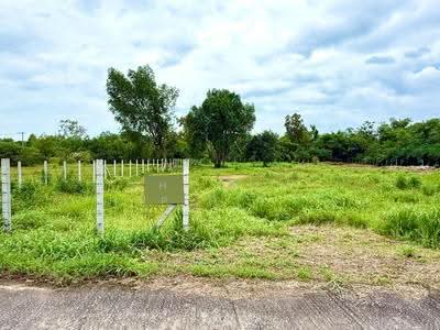 ขาย - ที่ดินปากพลี นครนายก, นครนายก