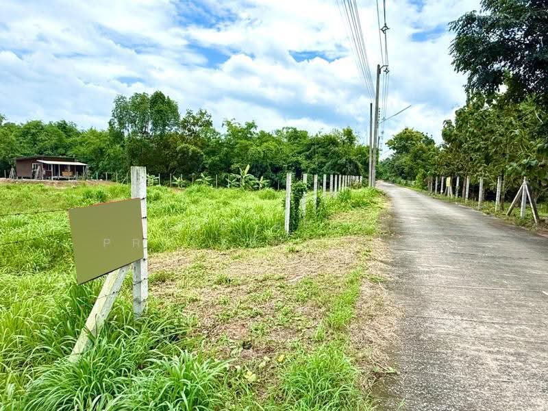 ที่ดินปากพลี นครนายก, นครนายก, โคกกรวด, ปากพลี, นครนายก, 3,200 ตร.ม., ที่ดิน ขาย, โดย The Best Property แอม, 500552787 - DDproperty.com