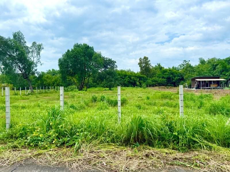 ที่ดินปากพลี นครนายก, นครนายก, โคกกรวด, ปากพลี, นครนายก, 3,200 ตร.ม., ที่ดิน ขาย, โดย The Best Property แอม, 500552787 - DDproperty.com