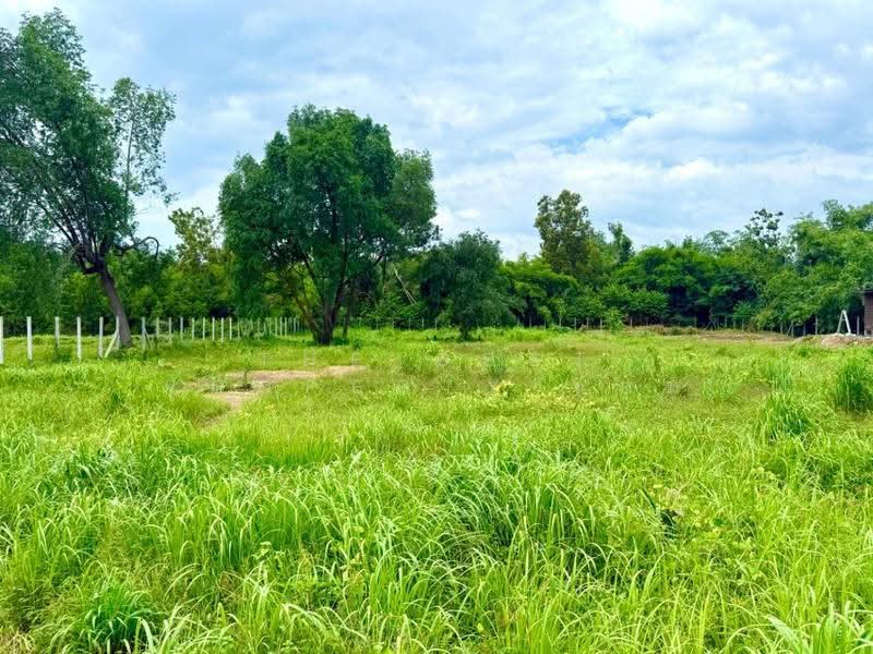 ที่ดินปากพลี นครนายก, นครนายก, โคกกรวด, ปากพลี, นครนายก, 3,200 ตร.ม., ที่ดิน ขาย, โดย The Best Property แอม, 500552787 - DDproperty.com
