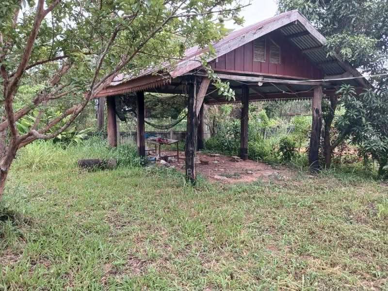 ที่ดินนาแก นครพนม, nakhon-phanom, Ban Khang, Na Kae, Nakhon Phanom, , 9,856 sqm, Land For Sale, by The Best Property อั๋น, 500552788 - DDproperty.com