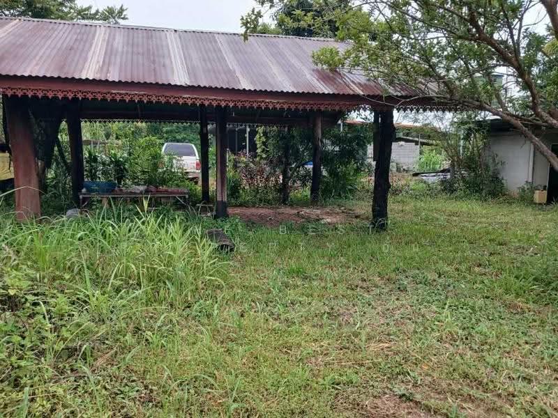 ที่ดินนาแก นครพนม, นครพนม, บ้านแก้ง, นาแก, นครพนม, 9,856 ตร.ม., ที่ดิน ขาย, โดย The Best Property อั๋น, 500552788 - DDproperty.com