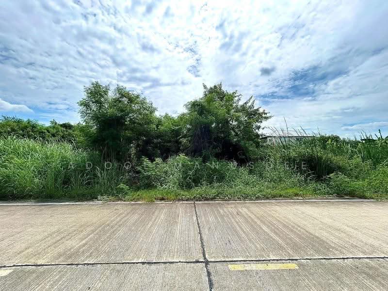 ที่ดินเปล่า บางกรวย นนทบุรี, Nonthaburi, Sala Klang, Bang Kruai, Nonthaburi, , 300 sqm, Land For Sale, by Adool Manusdee, 500552999 - DDproperty.com