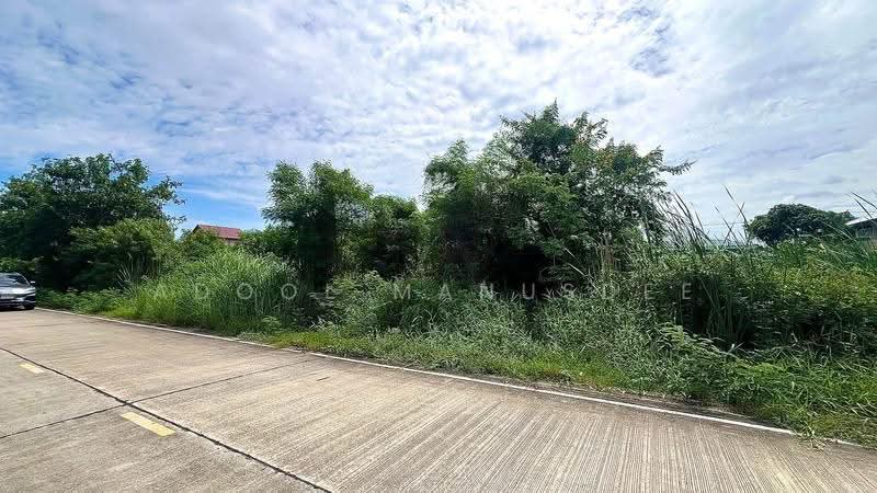 ที่ดินเปล่า บางกรวย นนทบุรี, Nonthaburi, Sala Klang, Bang Kruai, Nonthaburi, , 300 sqm, Land For Sale, by Adool Manusdee, 500552999 - DDproperty.com