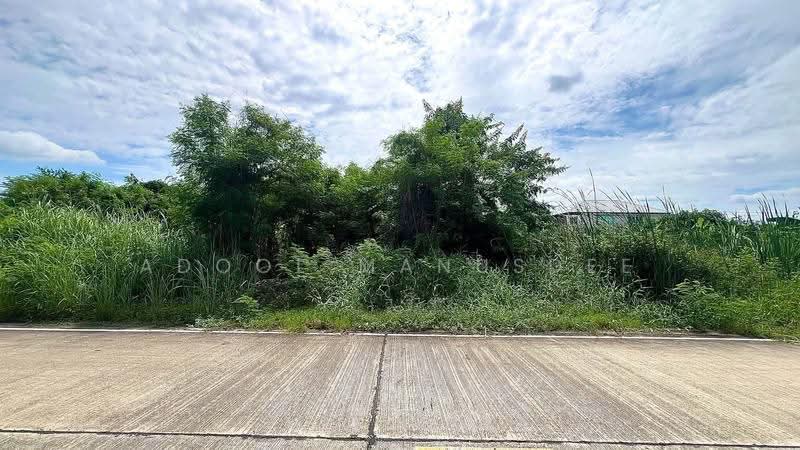 ที่ดินเปล่า บางกรวย นนทบุรี, Nonthaburi, Sala Klang, Bang Kruai, Nonthaburi, , 300 sqm, Land For Sale, by Adool Manusdee, 500552999 - DDproperty.com