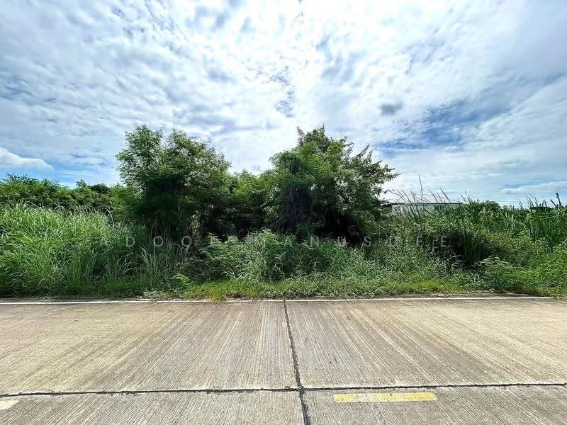 ที่ดินเปล่า บางกรวย นนทบุรี, Nonthaburi, Sala Klang, Bang Kruai, Nonthaburi, , 300 sqm, Land For Sale, by Adool Manusdee, 500552999 - DDproperty.com
