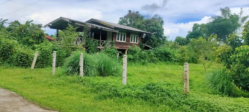 ขายที่ดินสวยทำเลทอง เหมาะสร้างบ้านพักผ่อน หรือเก็งกำไร!, เชียงราย, ม่วงคำ, พาน, เชียงราย, 1,608 ตร.ม., ที่ดิน ขาย, โดย ERA Thailand, 500553162 - DDproperty.com