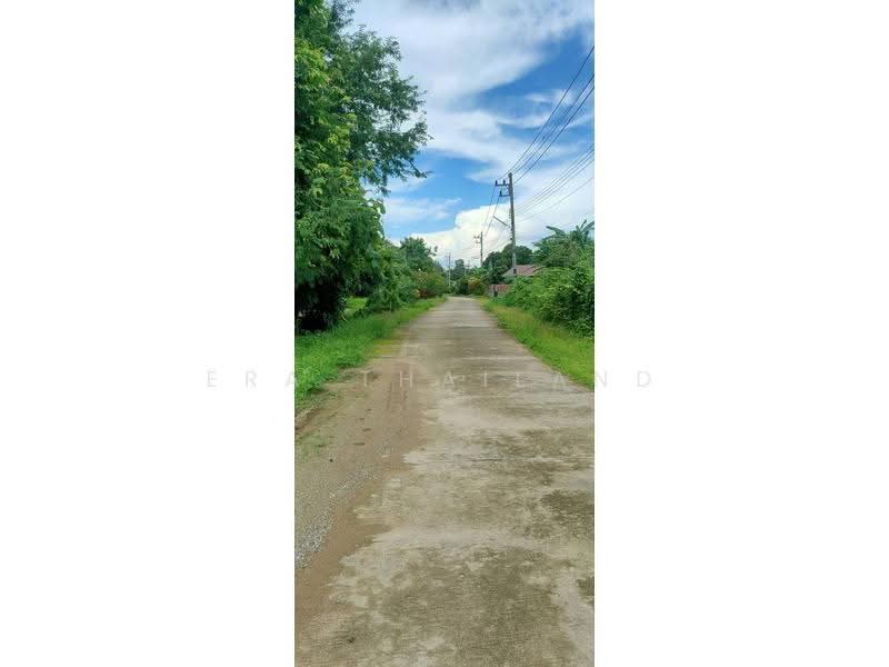 ขายที่ดินสวยทำเลทอง เหมาะสร้างบ้านพักผ่อน หรือเก็งกำไร!, เชียงราย, ม่วงคำ, พาน, เชียงราย, 1,608 ตร.ม., ที่ดิน ขาย, โดย ERA Thailand, 500553162 - DDproperty.com