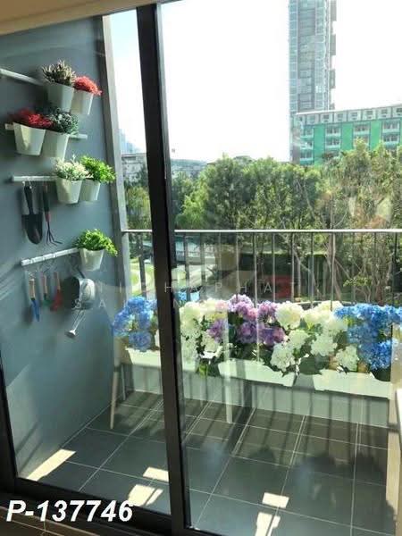 IDEO O2 Bangna, Bangkok, 195 Sanphawut Road, Bang Na Tai, Bang Na, Bangkok, 1 Bedroom, 33 sqm, Condo For Rent, by Nichaphat Sakunchayapha, 500553203 - DDproperty.com