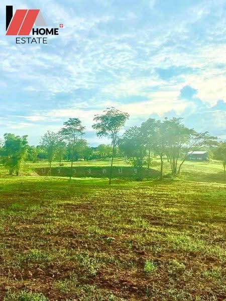 ที่ดินแปลงใหญ่ อ.หล่มสัก จ.เพชรบูรณ์, Phetchabun, Ban Klang, Lom Sak, Phetchabun, , 133,348 sqm, Land For Sale, by ชลธิชา ปรางค์ประทานพร, 500553234 - DDproperty.com