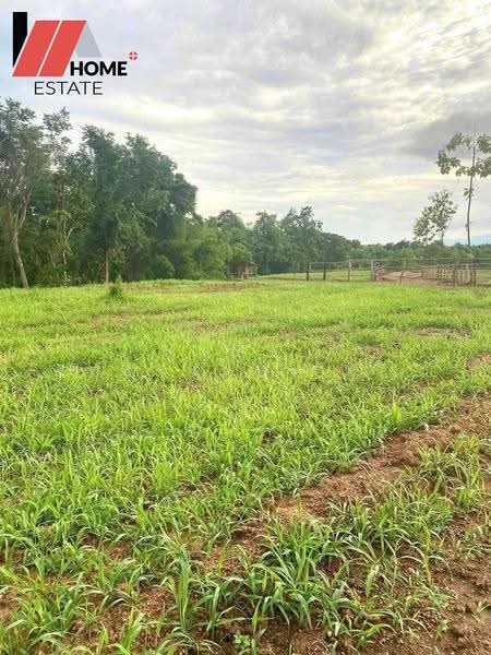 ที่ดินแปลงใหญ่ อ.หล่มสัก จ.เพชรบูรณ์, Phetchabun, Ban Klang, Lom Sak, Phetchabun, , 133,348 sqm, Land For Sale, by ชลธิชา ปรางค์ประทานพร, 500553234 - DDproperty.com