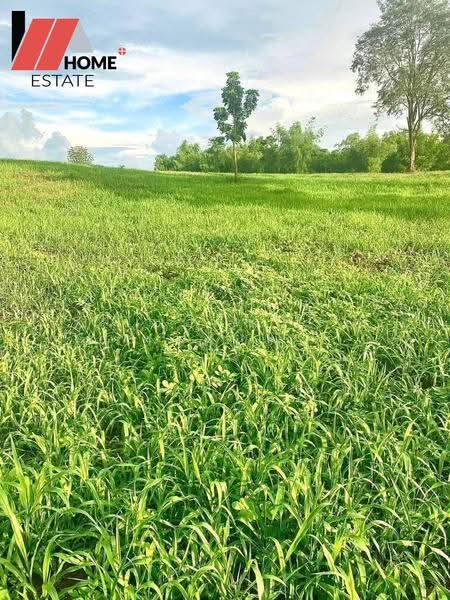 ที่ดินแปลงใหญ่ อ.หล่มสัก จ.เพชรบูรณ์, Phetchabun, Ban Klang, Lom Sak, Phetchabun, , 133,348 sqm, Land For Sale, by ชลธิชา ปรางค์ประทานพร, 500553234 - DDproperty.com