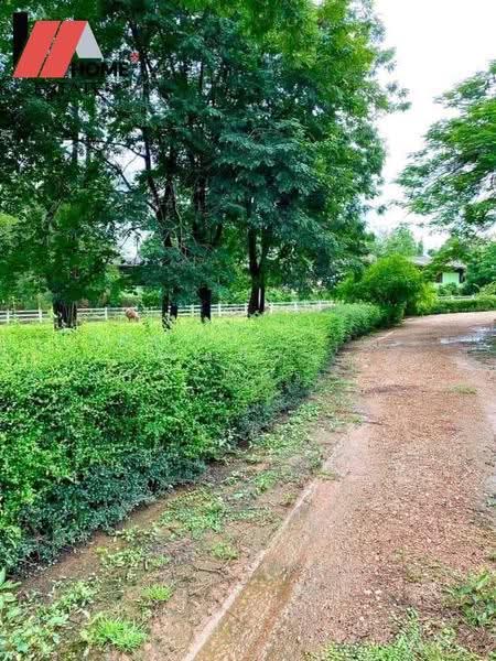 ที่ดินแปลงใหญ่ อ.หล่มสัก จ.เพชรบูรณ์, Phetchabun, Ban Klang, Lom Sak, Phetchabun, , 133,348 sqm, Land For Sale, by ชลธิชา ปรางค์ประทานพร, 500553234 - DDproperty.com