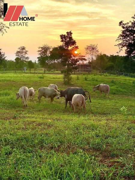 ที่ดินแปลงใหญ่ อ.หล่มสัก จ.เพชรบูรณ์, Phetchabun, Ban Klang, Lom Sak, Phetchabun, , 133,348 sqm, Land For Sale, by ชลธิชา ปรางค์ประทานพร, 500553234 - DDproperty.com