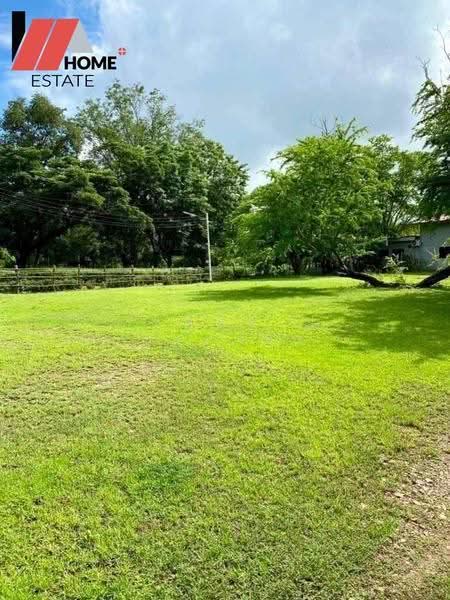 ที่ดินแปลงใหญ่ อ.หล่มสัก จ.เพชรบูรณ์, Phetchabun, Ban Klang, Lom Sak, Phetchabun, , 133,348 sqm, Land For Sale, by ชลธิชา ปรางค์ประทานพร, 500553234 - DDproperty.com