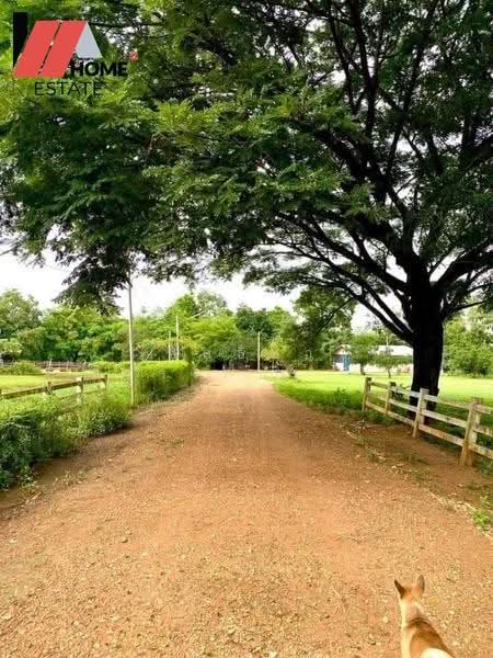 ที่ดินแปลงใหญ่ อ.หล่มสัก จ.เพชรบูรณ์, Phetchabun, Ban Klang, Lom Sak, Phetchabun, , 133,348 sqm, Land For Sale, by ชลธิชา ปรางค์ประทานพร, 500553234 - DDproperty.com