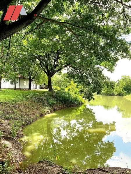 ที่ดินแปลงใหญ่ อ.หล่มสัก จ.เพชรบูรณ์, Phetchabun, Ban Klang, Lom Sak, Phetchabun, , 133,348 sqm, Land For Sale, by ชลธิชา ปรางค์ประทานพร, 500553234 - DDproperty.com