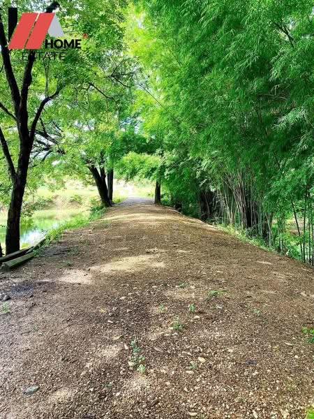 ที่ดินแปลงใหญ่ อ.หล่มสัก จ.เพชรบูรณ์, Phetchabun, Ban Klang, Lom Sak, Phetchabun, , 133,348 sqm, Land For Sale, by ชลธิชา ปรางค์ประทานพร, 500553234 - DDproperty.com
