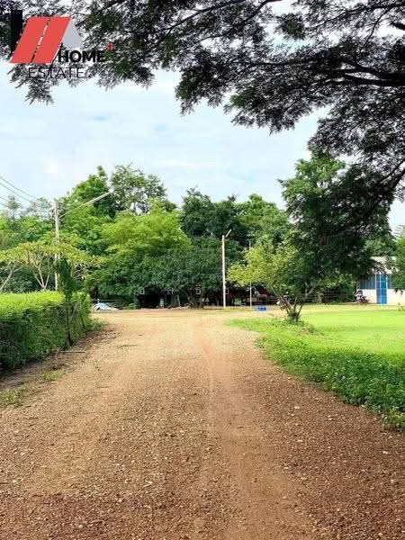 ที่ดินแปลงใหญ่ อ.หล่มสัก จ.เพชรบูรณ์, Phetchabun, Ban Klang, Lom Sak, Phetchabun, , 133,348 sqm, Land For Sale, by ชลธิชา ปรางค์ประทานพร, 500553234 - DDproperty.com