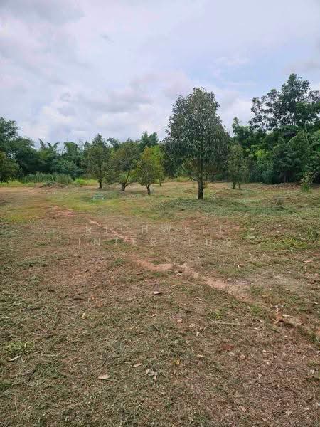 ขายที่ดินปลวกแดงพร้อมสวนทุเรียน 5 ไร่ ซอยมาบยางพร1 ใกล้ถนนเส้น3013-1กม., ระยอง, มาบยางพร, ปลวกแดง, ระยอง, 9,520 ตร.ม., ที่ดิน ขาย, โดย RICHWELL INTERPLUS, 500553239 - DDproperty.com