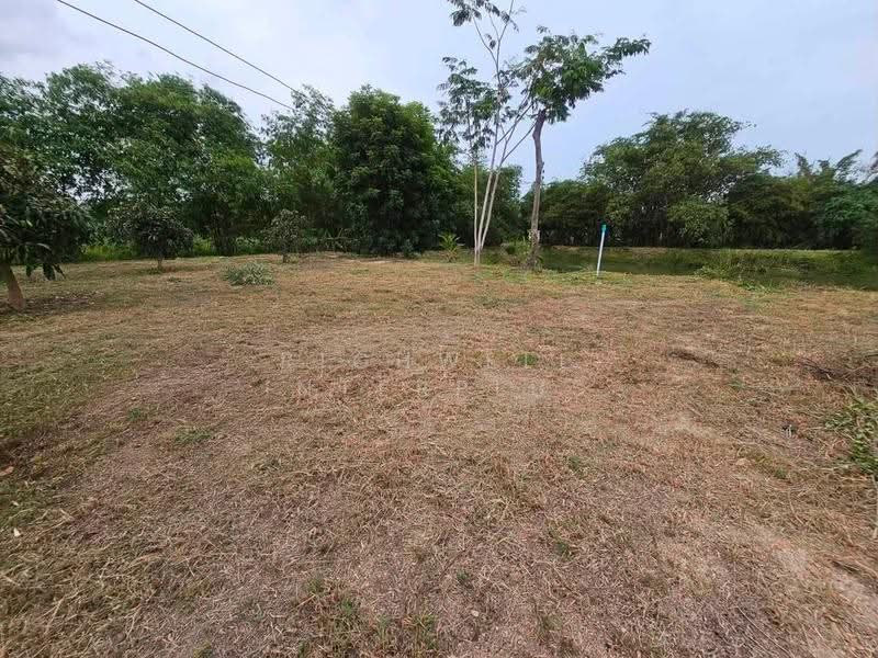 ขายที่ดินปลวกแดงพร้อมสวนทุเรียน 5 ไร่ ซอยมาบยางพร1 ใกล้ถนนเส้น3013-1กม., ระยอง, มาบยางพร, ปลวกแดง, ระยอง, 9,520 ตร.ม., ที่ดิน ขาย, โดย RICHWELL INTERPLUS, 500553239 - DDproperty.com