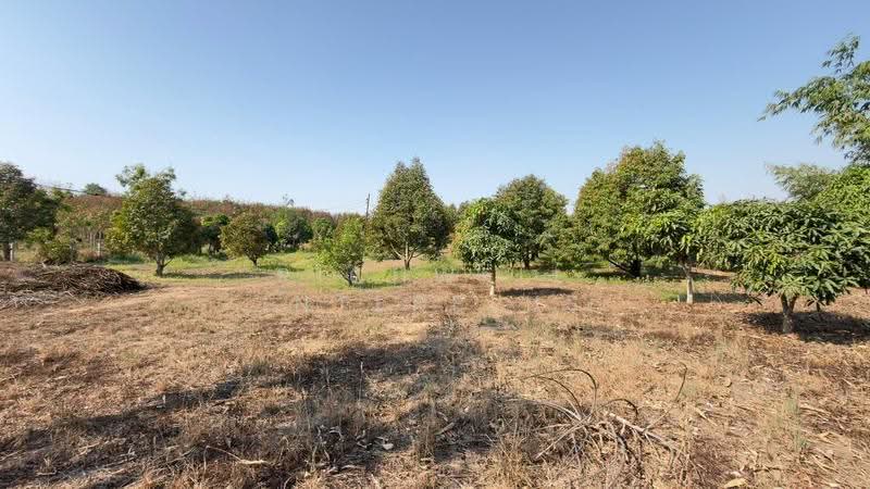 Land for sale in Pluak Daeng with a durian orchard, 5 rai, located in Soi Map Yang Phon 1, Rayong, Mapyangphon, Pluak Daeng, Rayong, , 9,520 sqm, Land For Sale, by RICHWELL INTERPLUS, 500553239 - DDproperty.com
